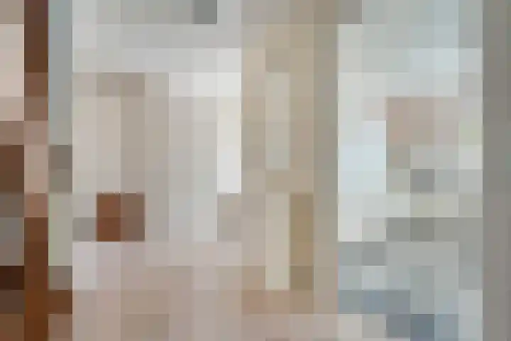 De Widtstraat 15 Dedemsvaart thumbnail 7
