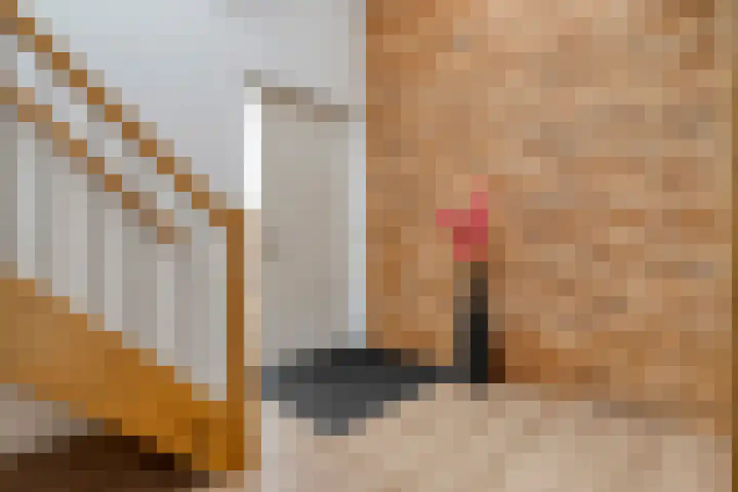 De Widtstraat 2 Dedemsvaart thumbnail 11