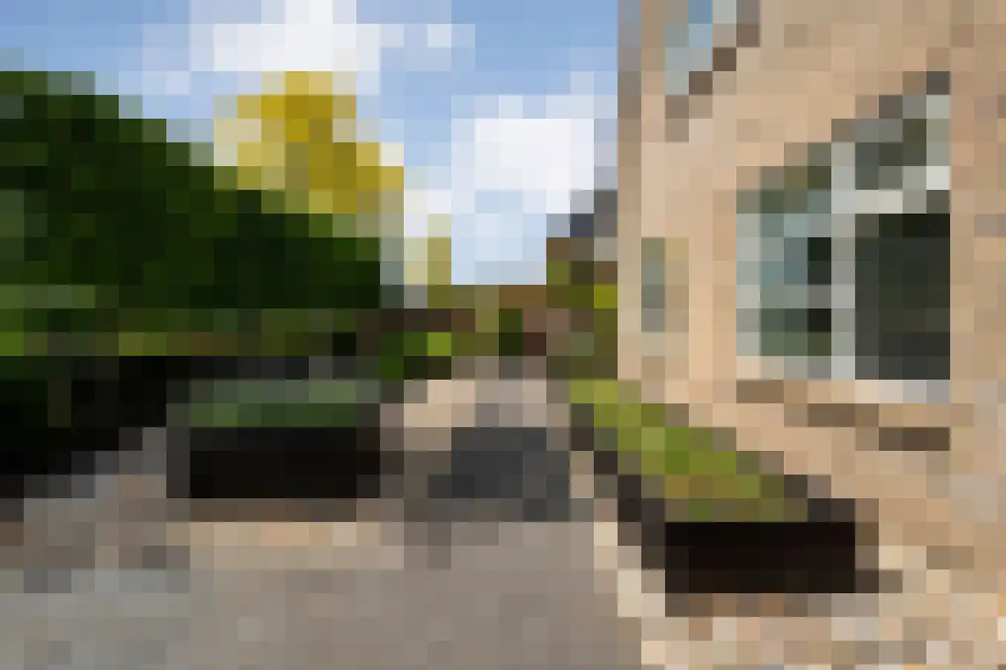 De Widtstraat 2 Dedemsvaart thumbnail 12