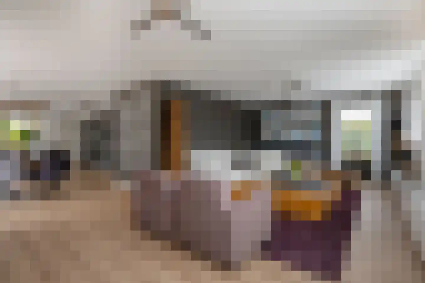 De Widtstraat 2 Dedemsvaart thumbnail 14
