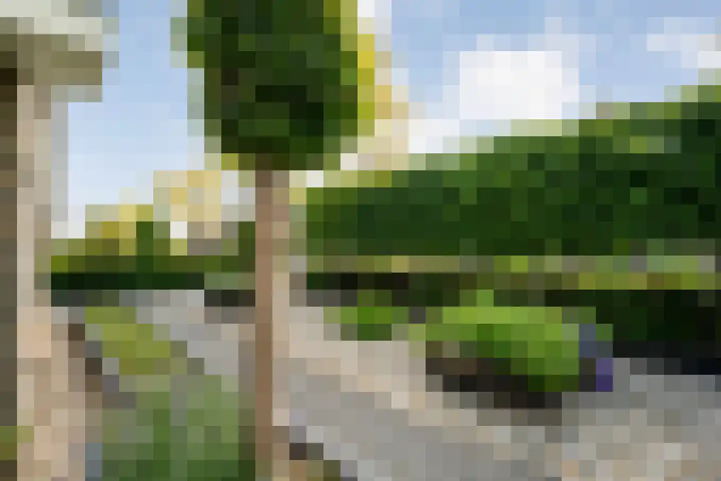 De Widtstraat 2 Dedemsvaart thumbnail 15