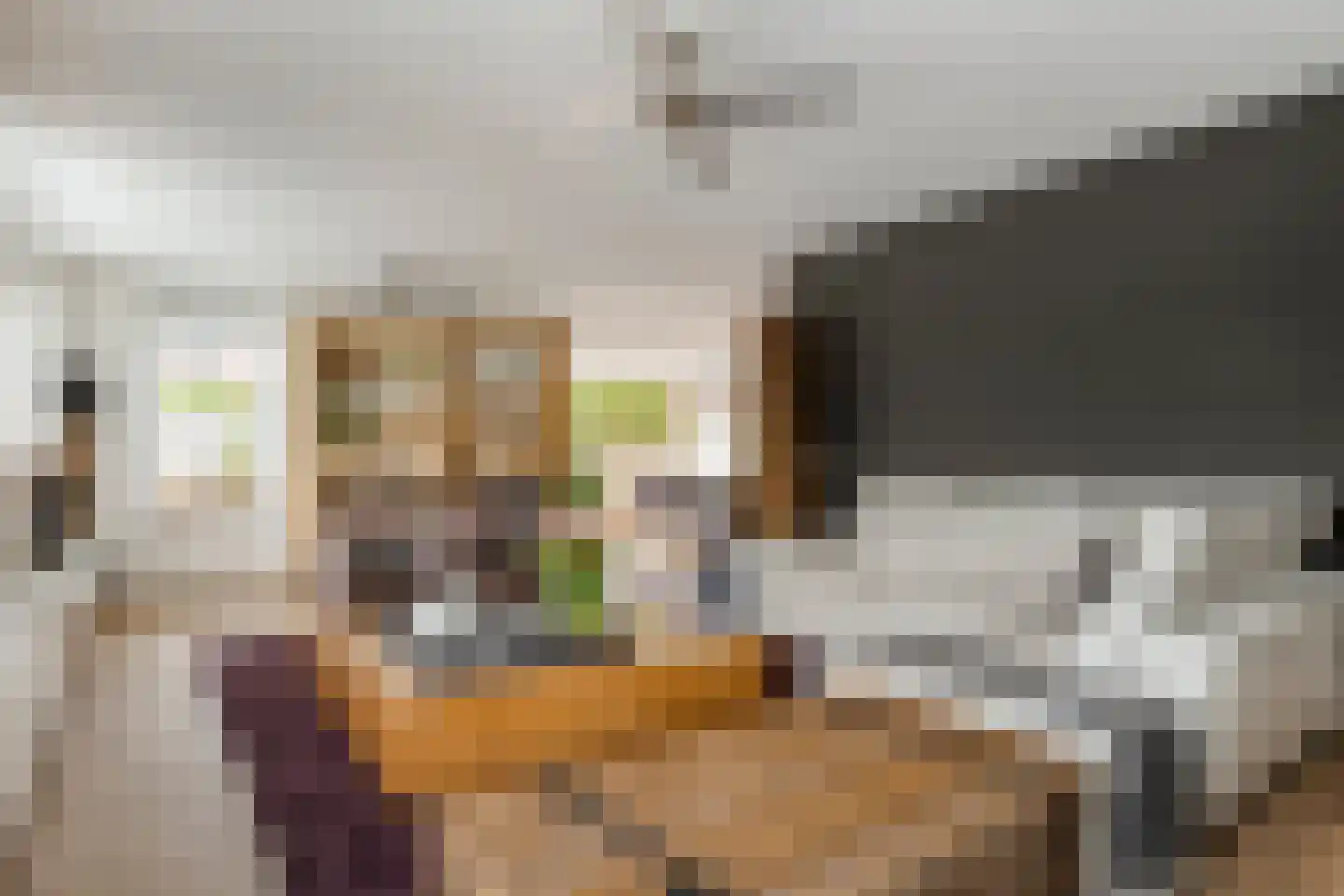 De Widtstraat 2 Dedemsvaart thumbnail 16
