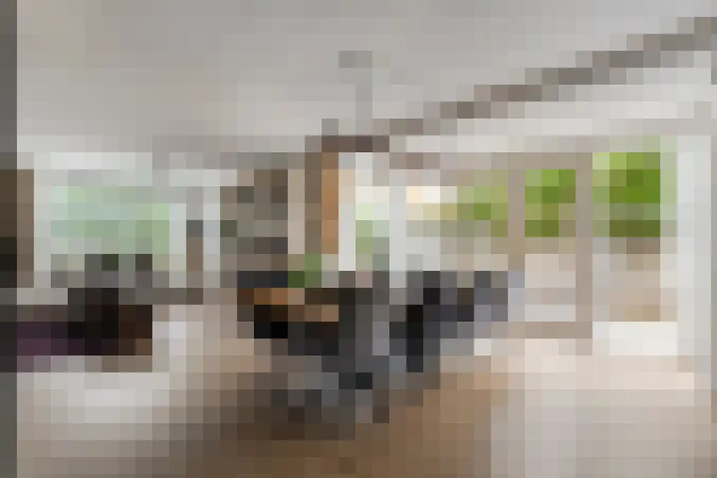De Widtstraat 2 Dedemsvaart thumbnail 18