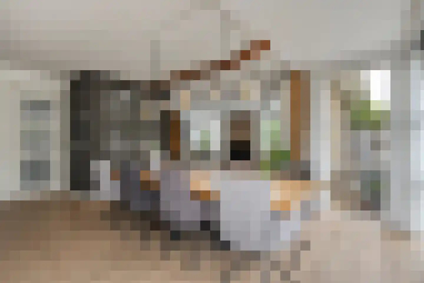 De Widtstraat 2 Dedemsvaart thumbnail 19