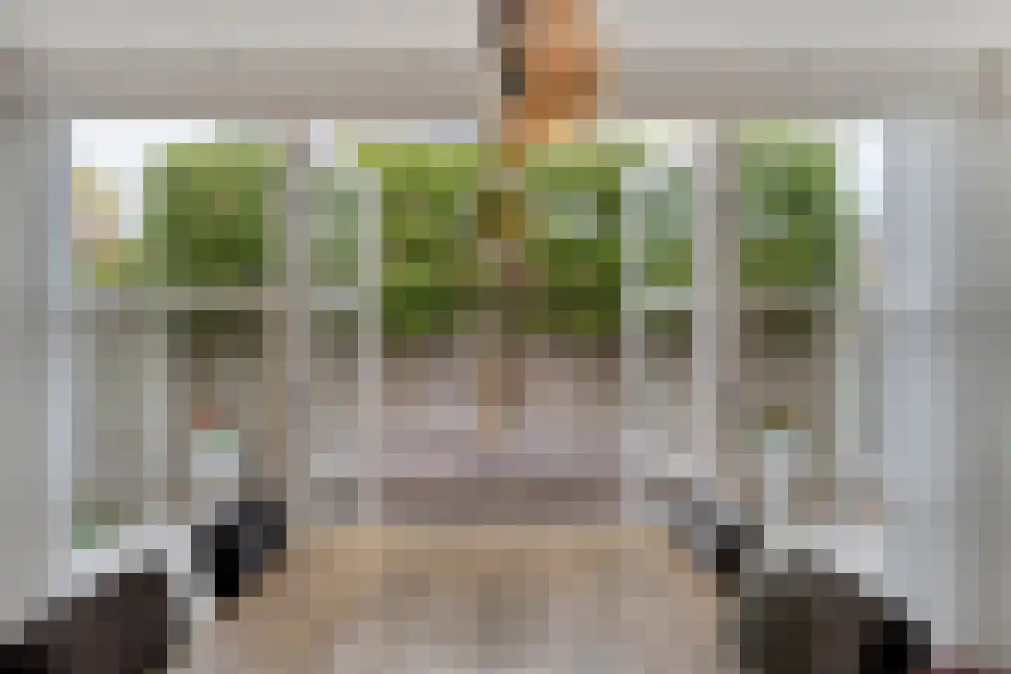 De Widtstraat 2 Dedemsvaart thumbnail 20