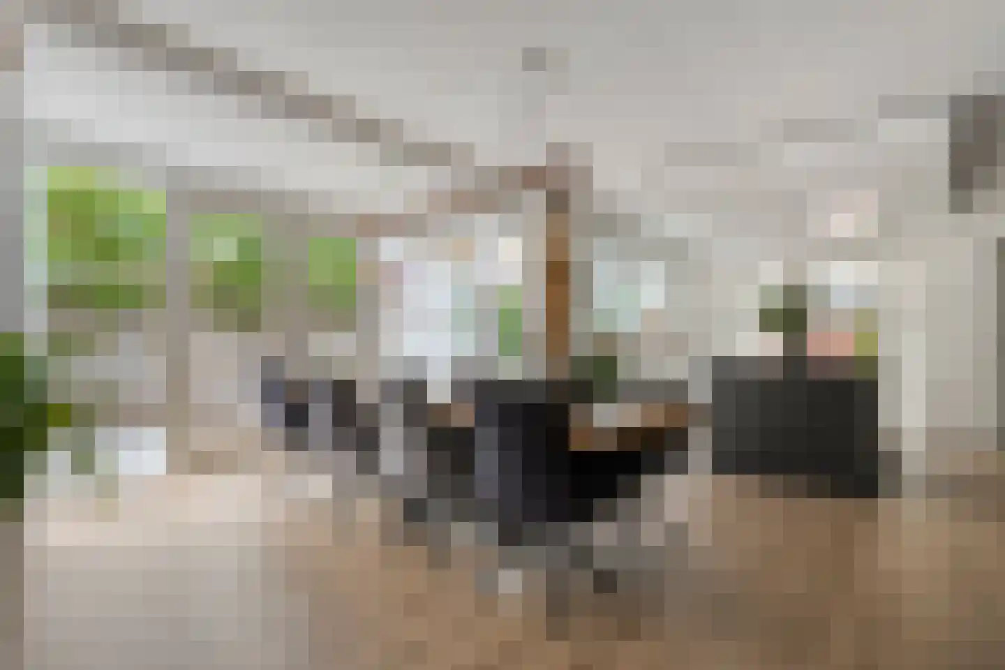 De Widtstraat 2 Dedemsvaart thumbnail 21