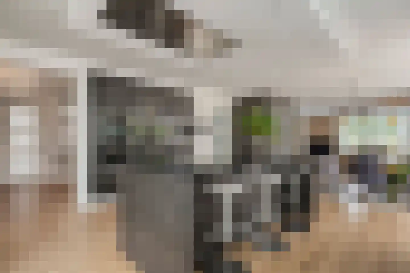 De Widtstraat 2 Dedemsvaart thumbnail 23