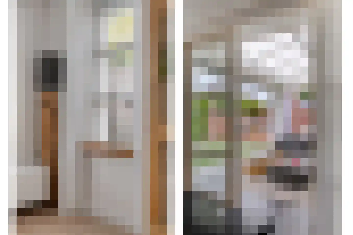 De Widtstraat 2 Dedemsvaart thumbnail 25