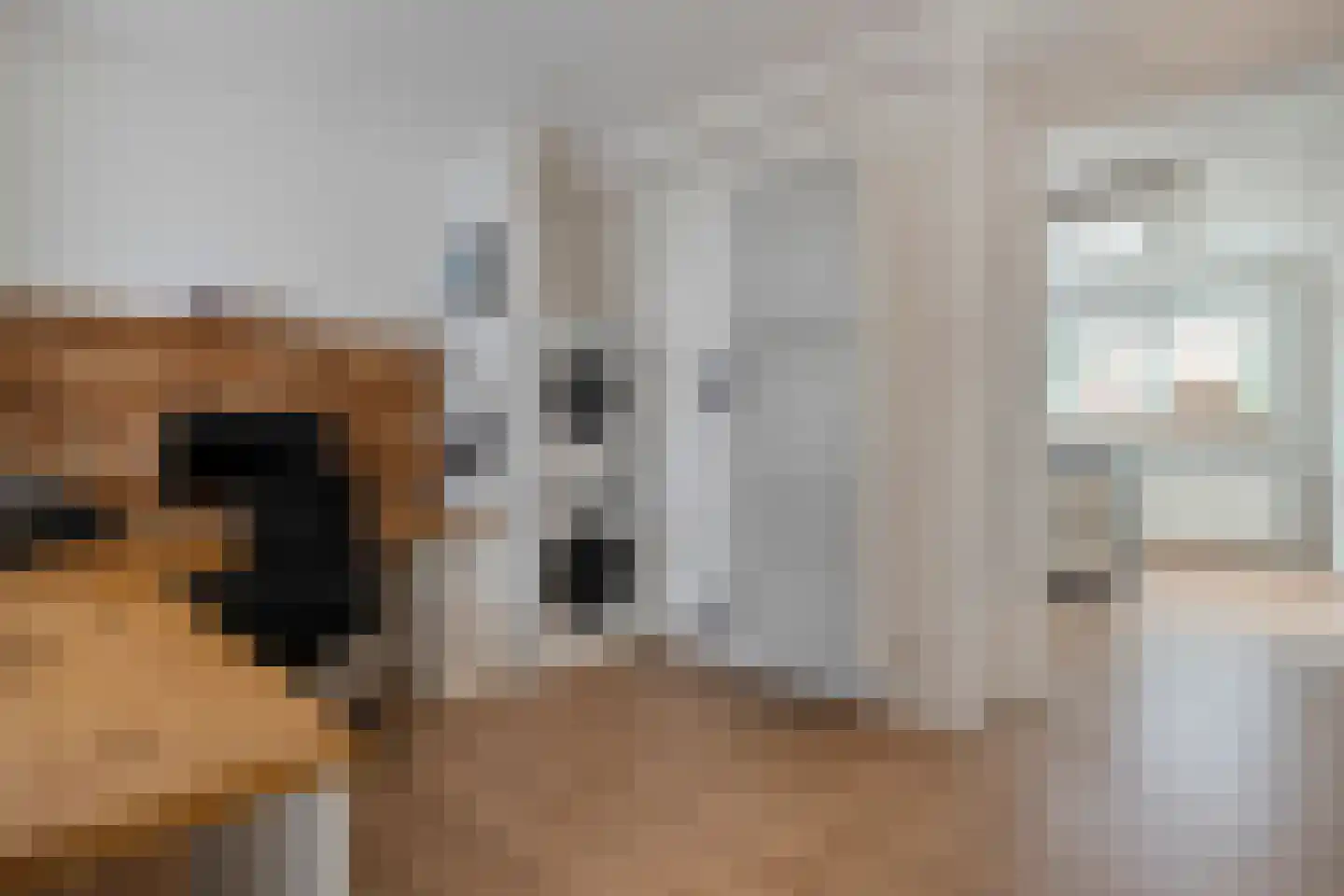 De Widtstraat 2 Dedemsvaart thumbnail 30