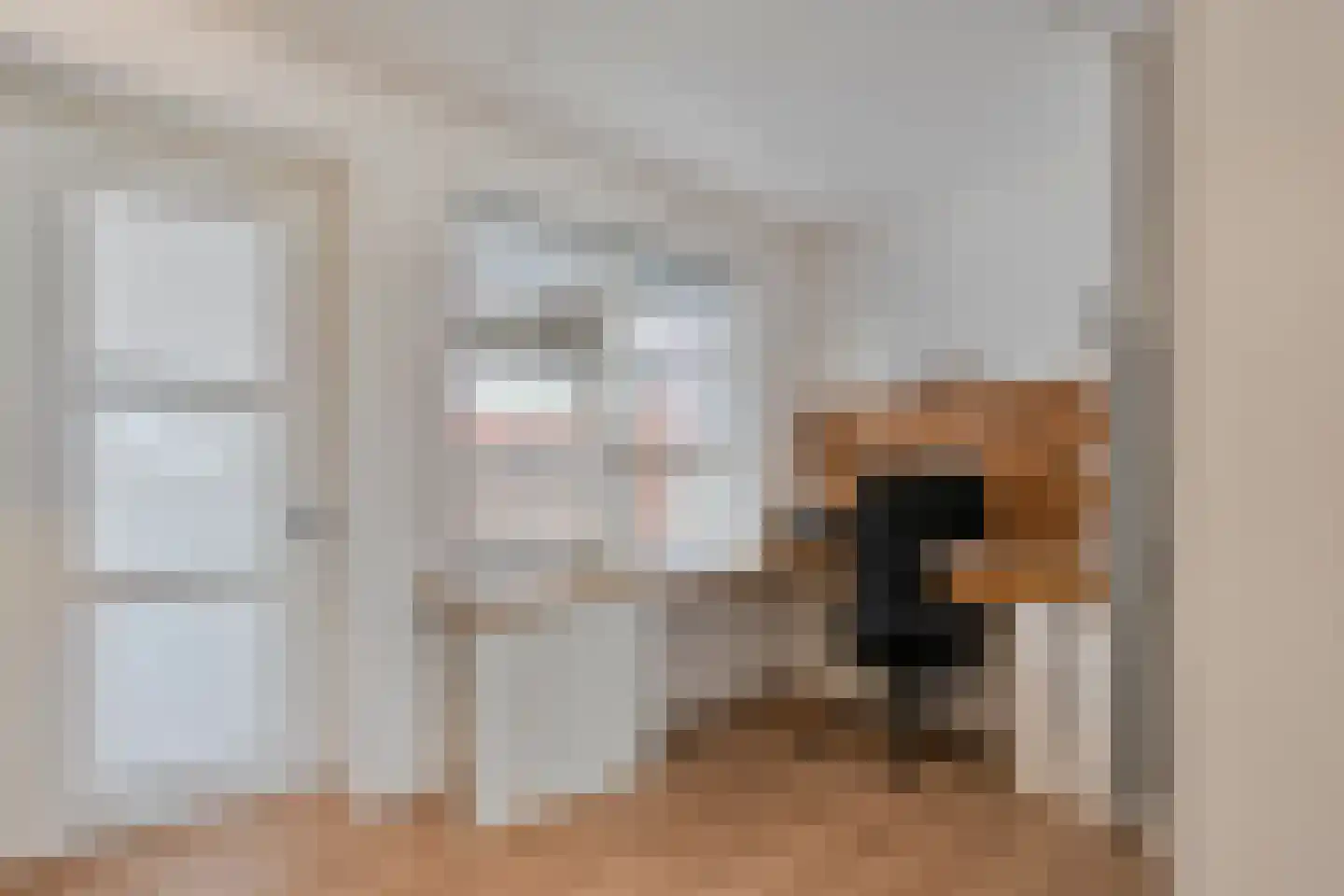 De Widtstraat 2 Dedemsvaart thumbnail 31
