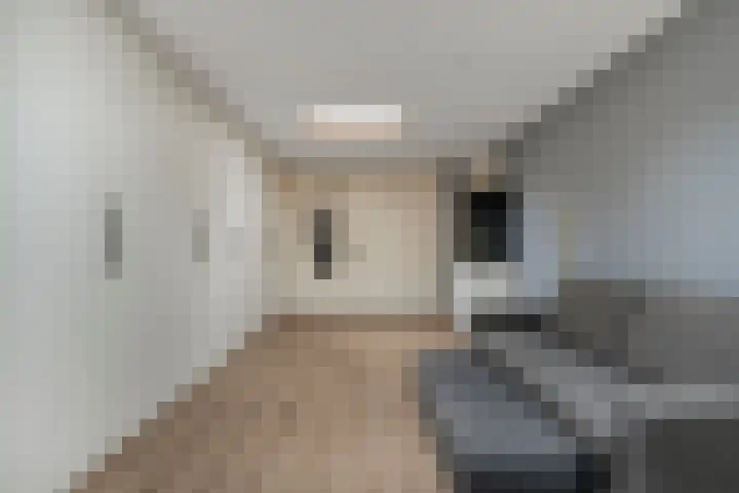 De Widtstraat 2 Dedemsvaart thumbnail 34