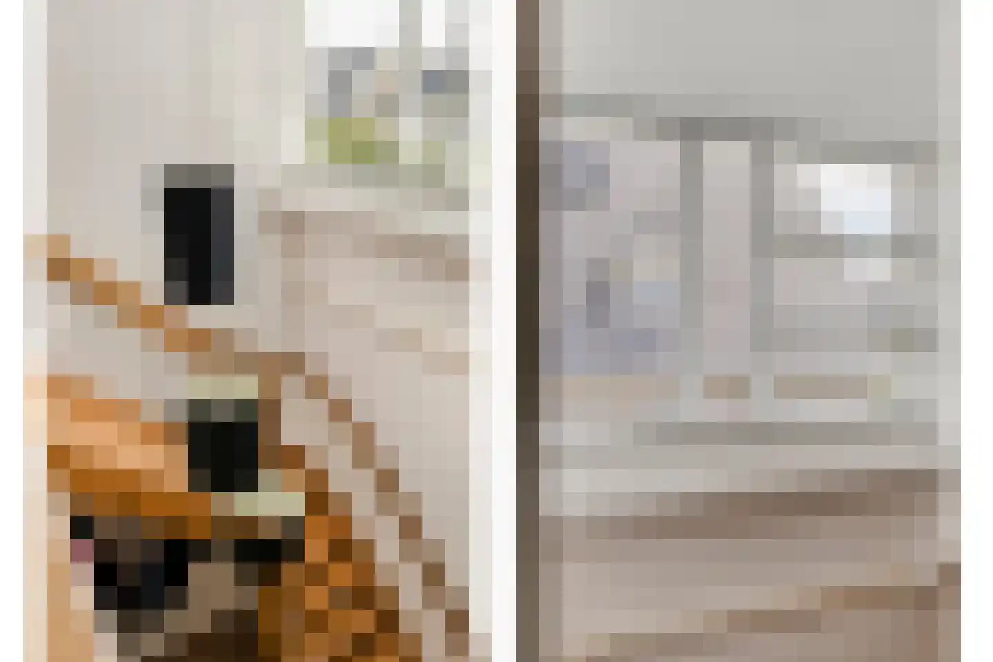 De Widtstraat 2 Dedemsvaart thumbnail 35