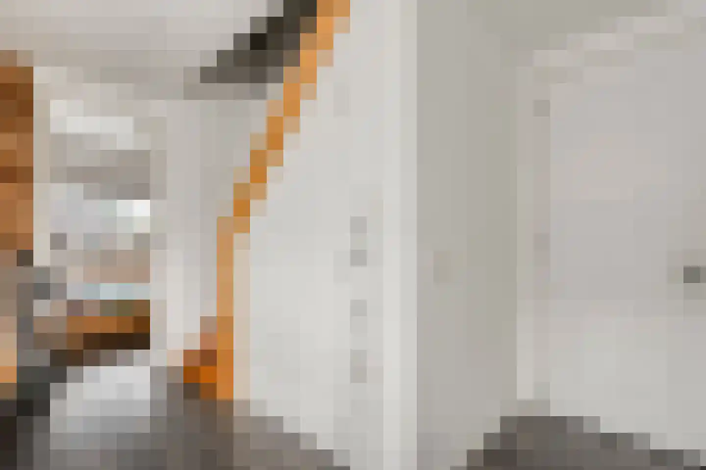 De Widtstraat 2 Dedemsvaart thumbnail 37