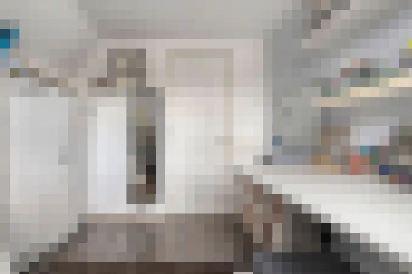 De Widtstraat 2 Dedemsvaart thumbnail 46