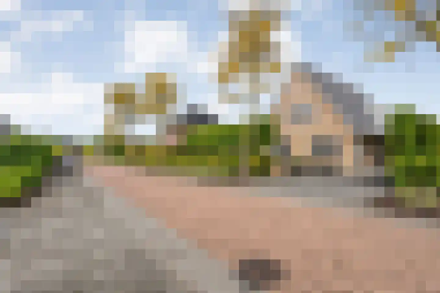 De Widtstraat 2 Dedemsvaart thumbnail 5