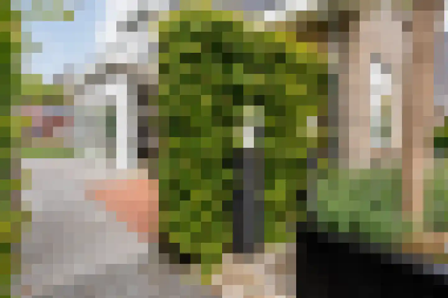 De Widtstraat 2 Dedemsvaart thumbnail 56