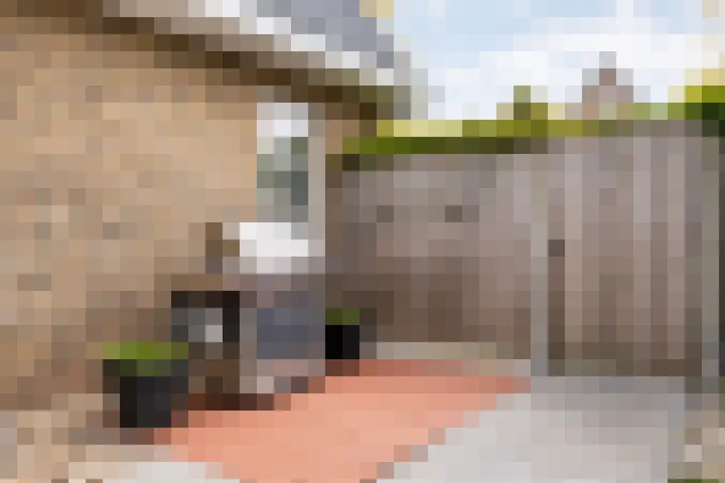 De Widtstraat 2 Dedemsvaart thumbnail 59