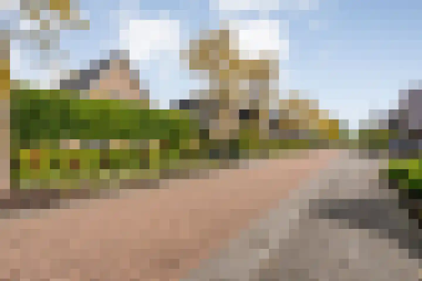De Widtstraat 2 Dedemsvaart thumbnail 6