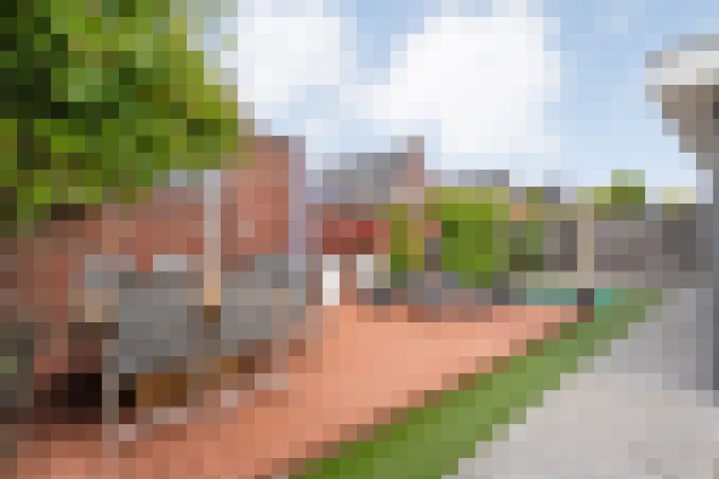 De Widtstraat 2 Dedemsvaart thumbnail 65