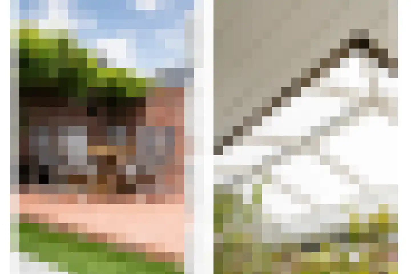 De Widtstraat 2 Dedemsvaart thumbnail 66