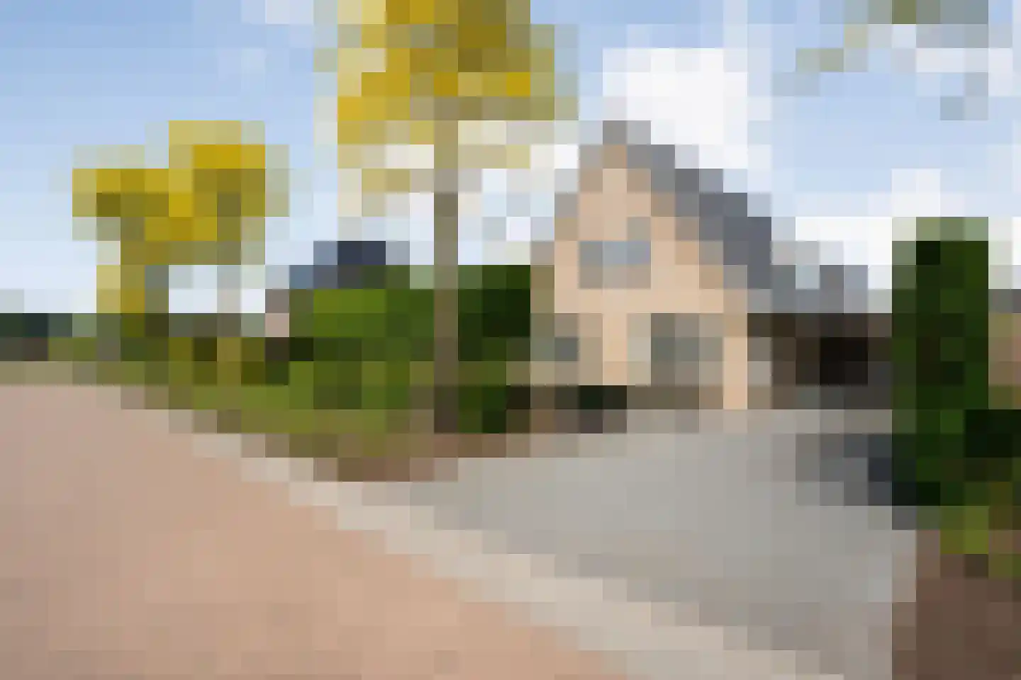 De Widtstraat 2 Dedemsvaart thumbnail 7