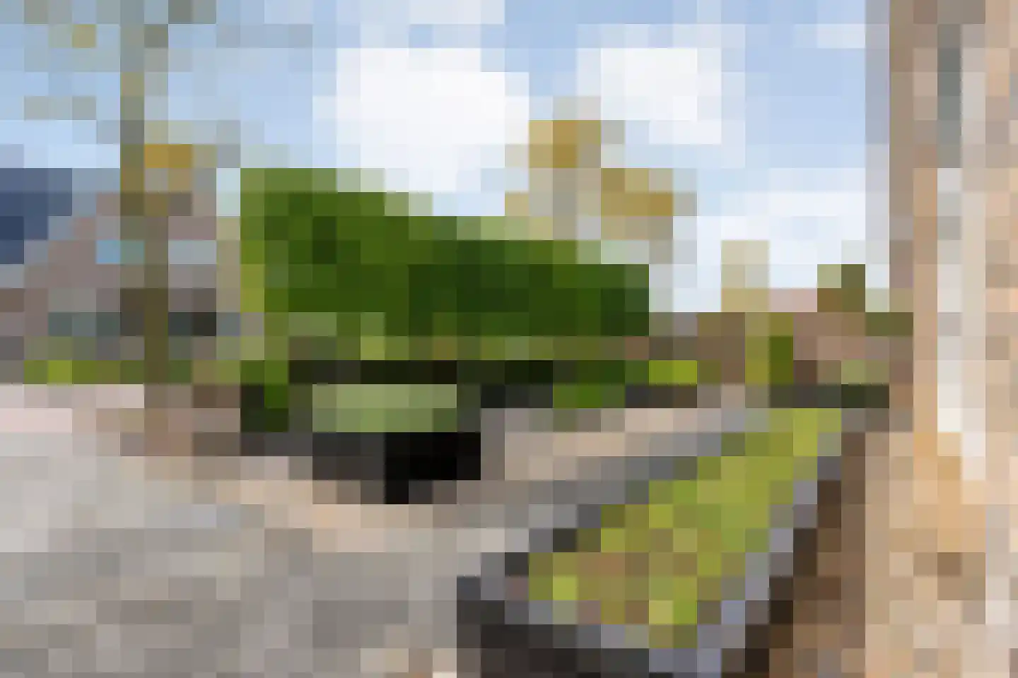 De Widtstraat 2 Dedemsvaart thumbnail 8