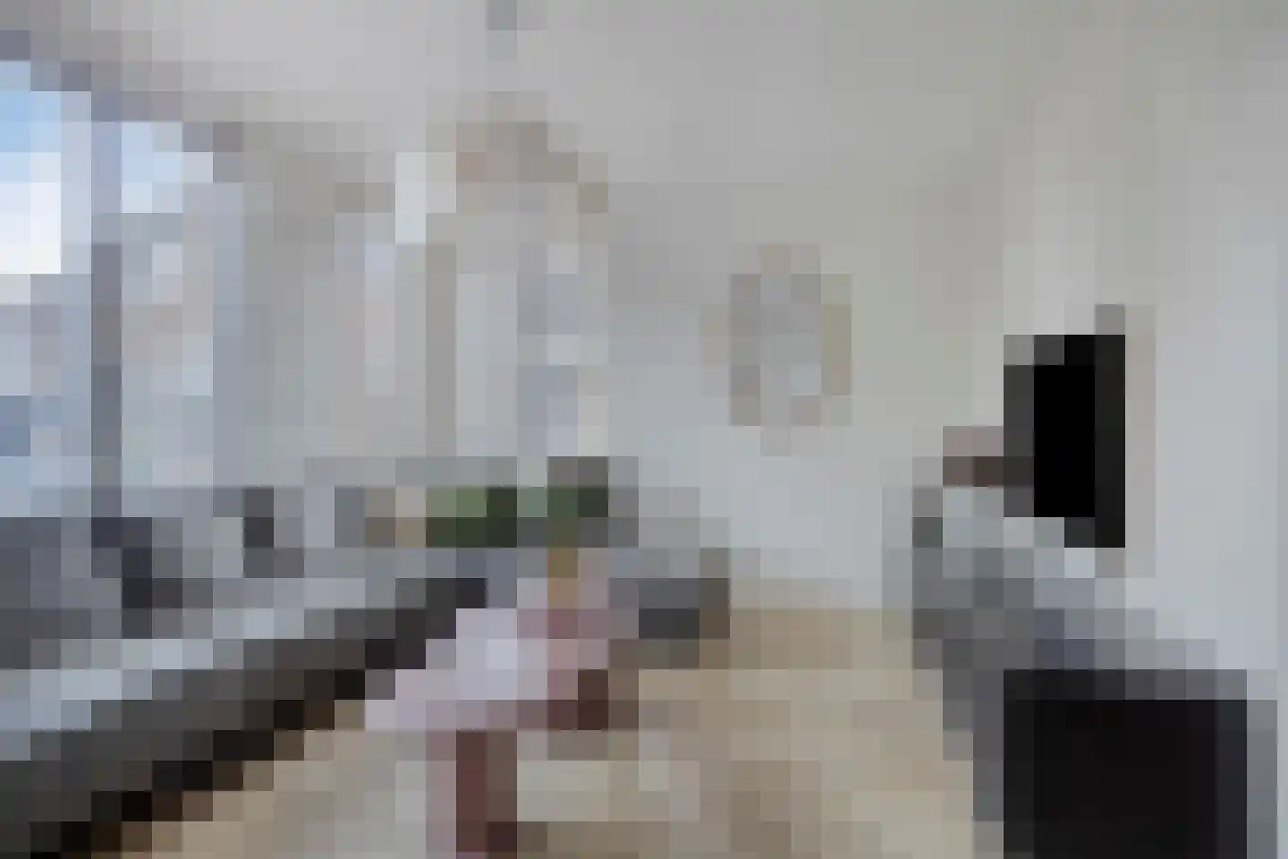 de Wiecken 11 Leek thumbnail 10