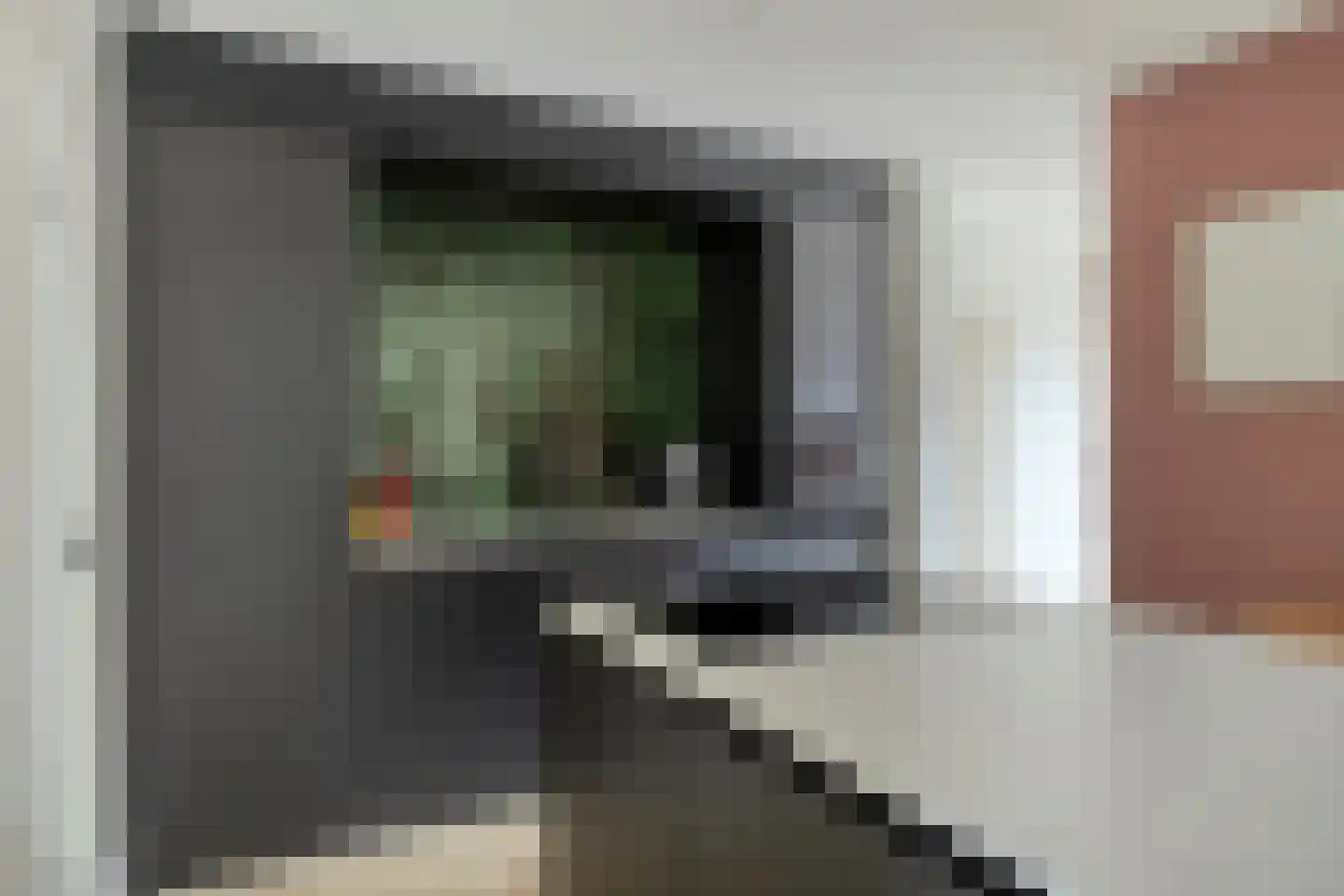 de Wiecken 11 Leek thumbnail 12