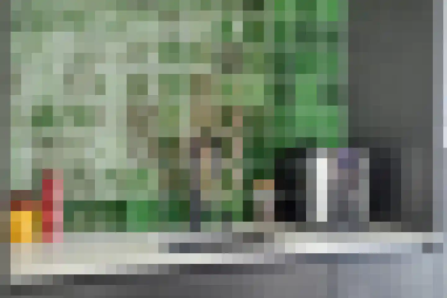 de Wiecken 11 Leek thumbnail 13