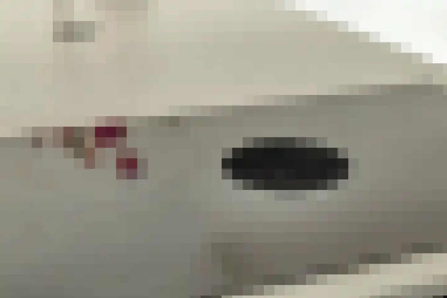 de Wiecken 11 Leek thumbnail 14