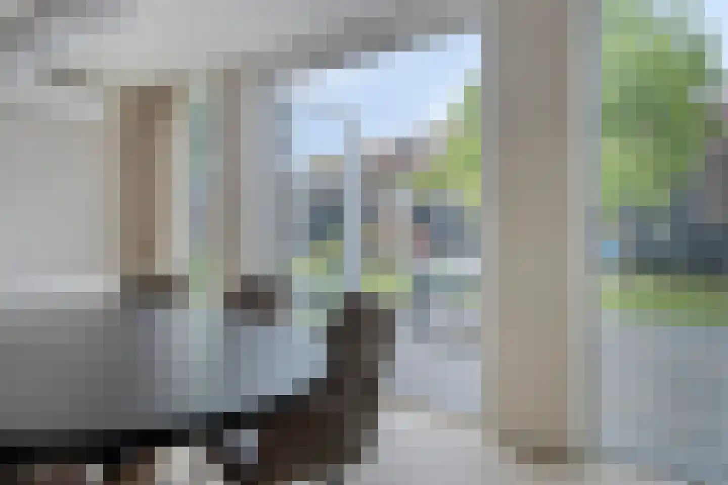 de Wiecken 11 Leek thumbnail 21