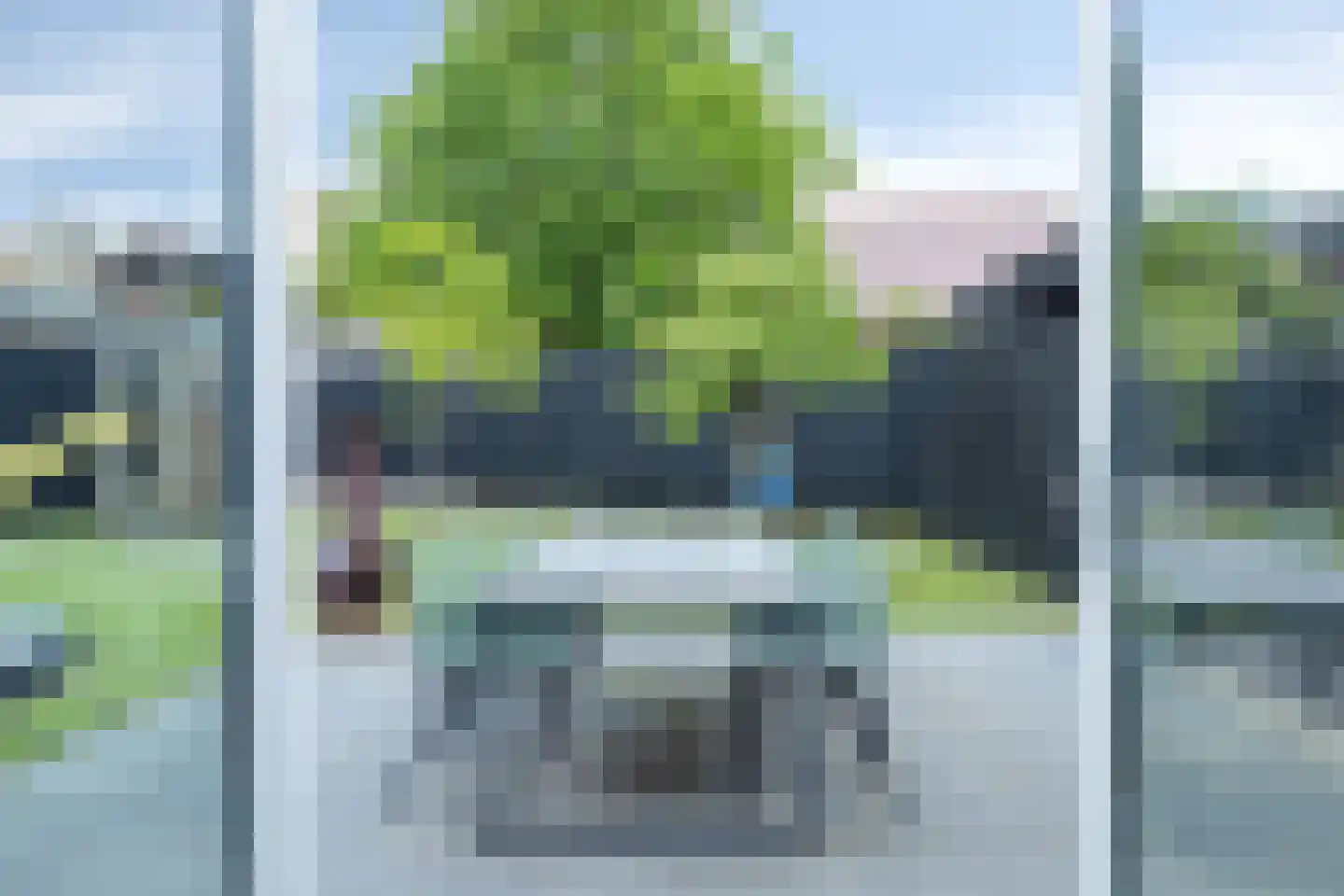 de Wiecken 11 Leek thumbnail 22
