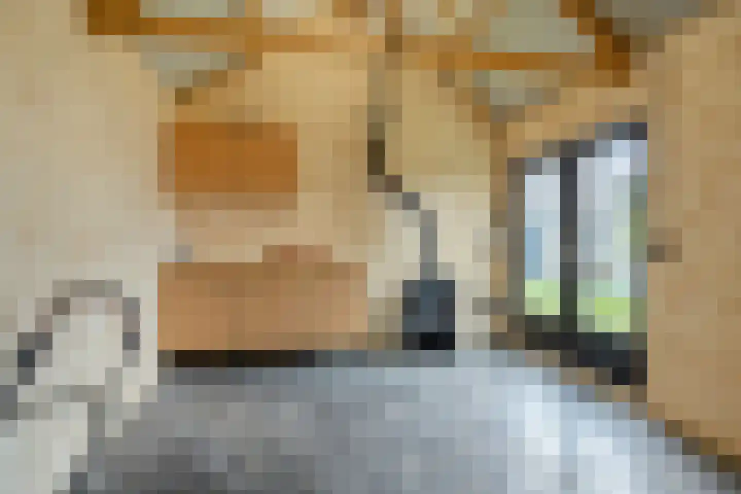 de Wiecken 11 Leek thumbnail 59