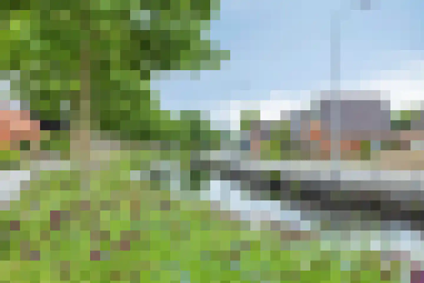 de Wiecken 11 Leek thumbnail 60