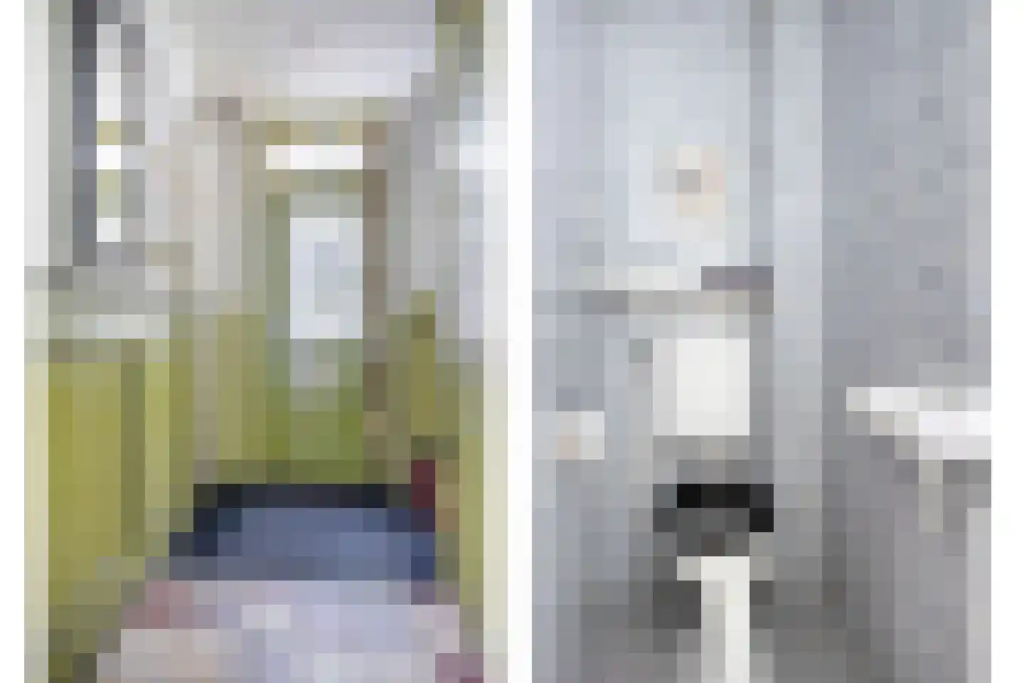 de Wiecken 23 Leek thumbnail 12