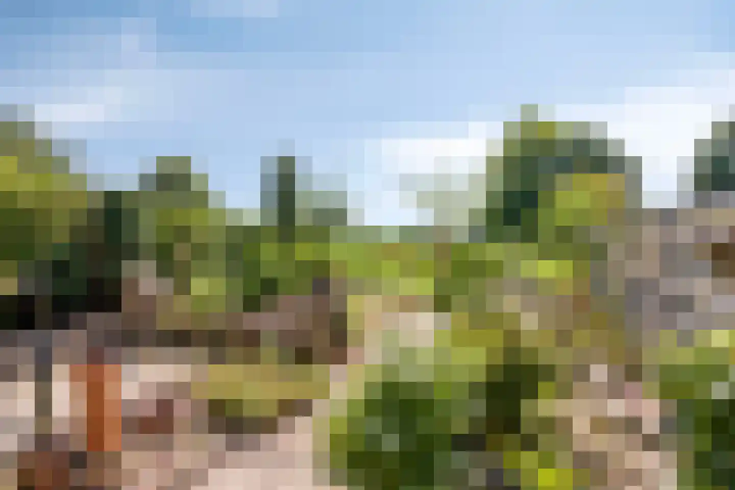 de Wiecken 23 Leek thumbnail 28