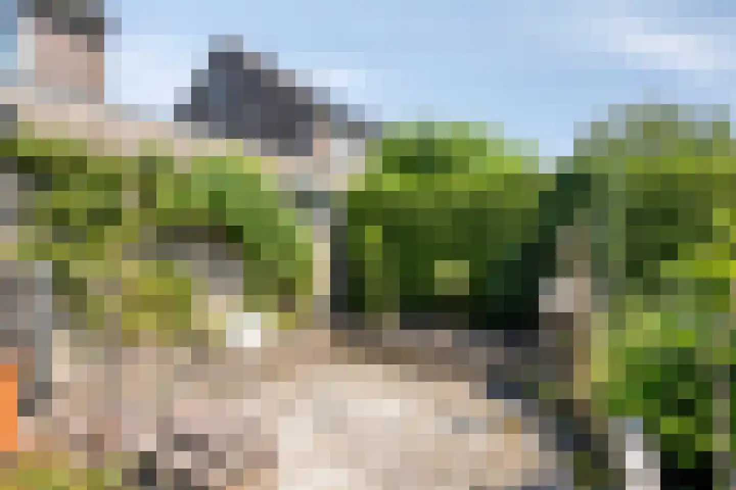 de Wiecken 23 Leek thumbnail 29