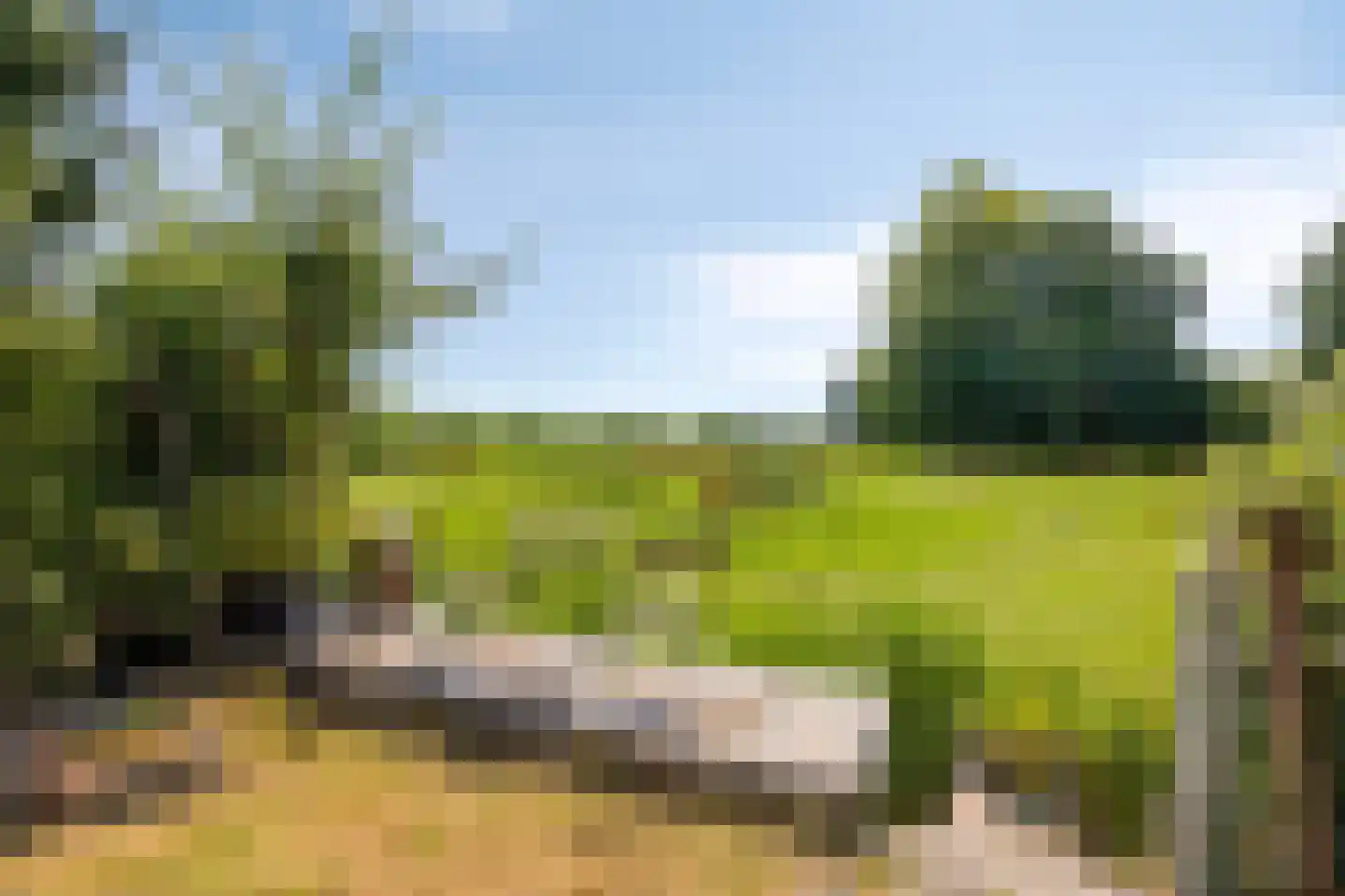 de Wiecken 23 Leek thumbnail 31