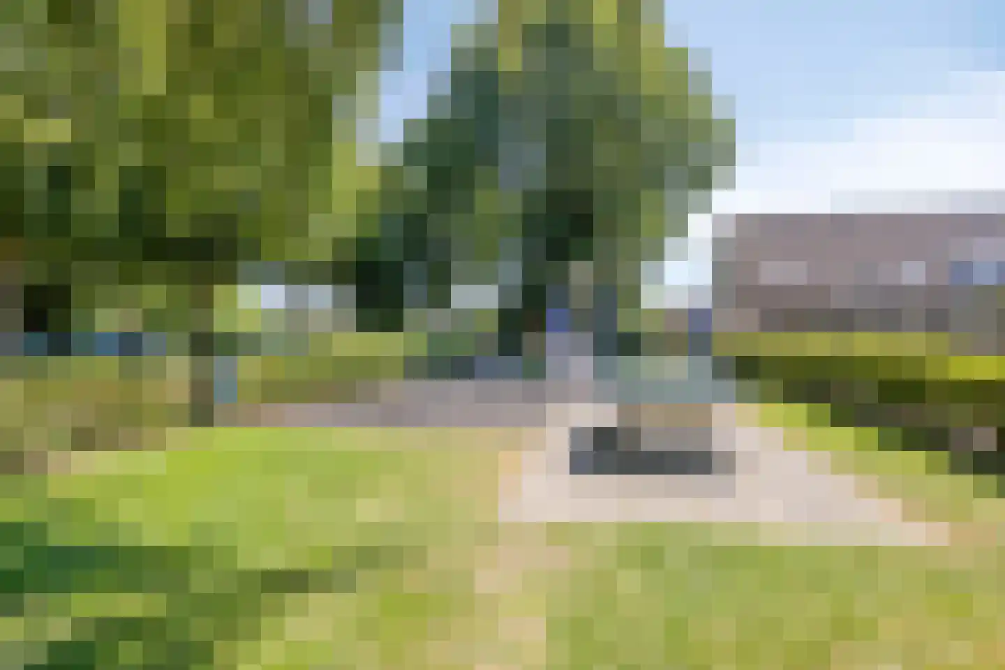 de Wiecken 23 Leek thumbnail 33