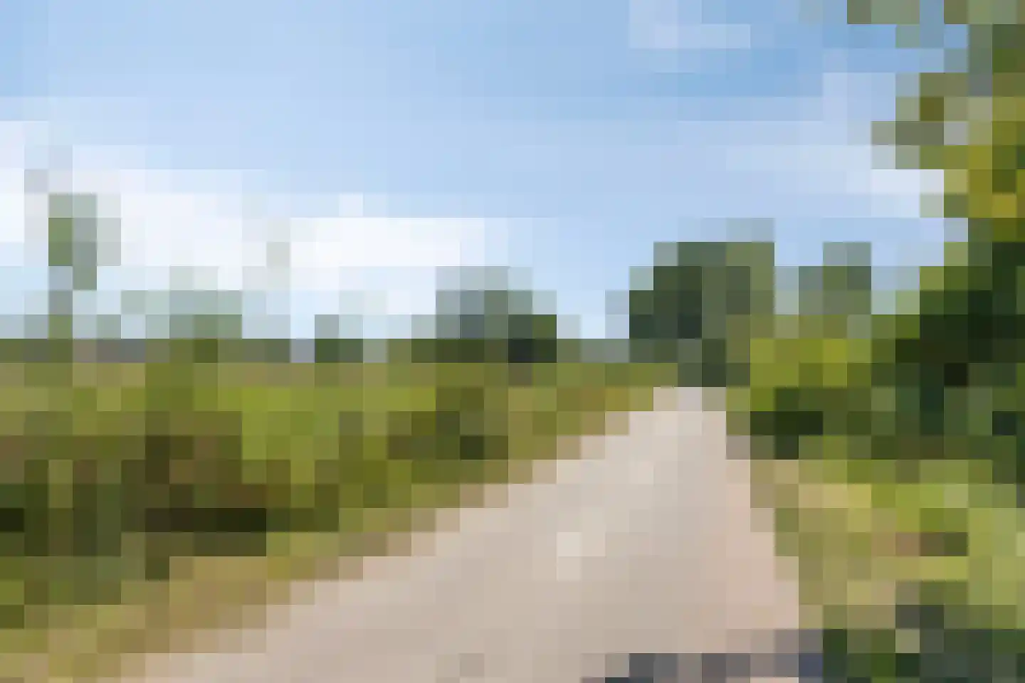 de Wiecken 23 Leek thumbnail 35