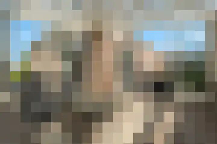 De Wiede 1 Muntendam thumbnail 25