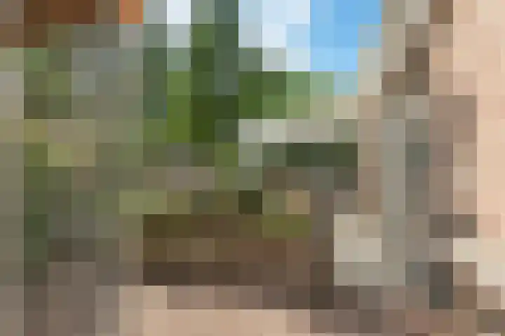 De Wiede 1 Muntendam thumbnail 27