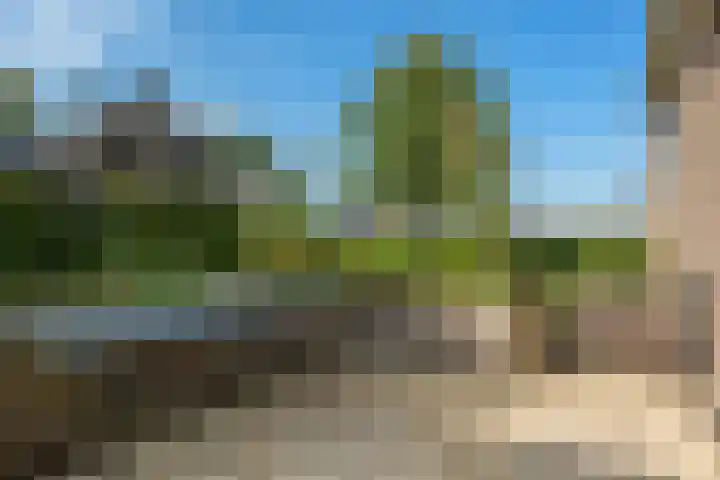 De Wiede 1 Muntendam thumbnail 28