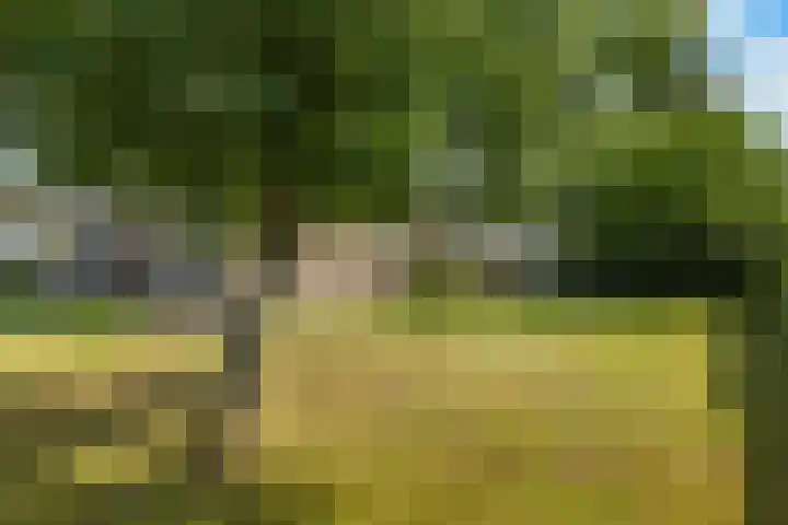 De Wiede 1 Muntendam thumbnail 30