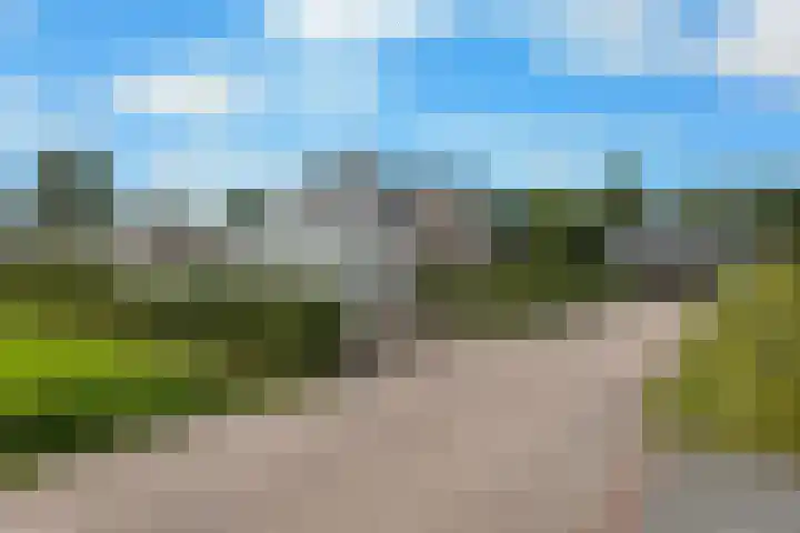 De Wiede 1 Muntendam thumbnail 33