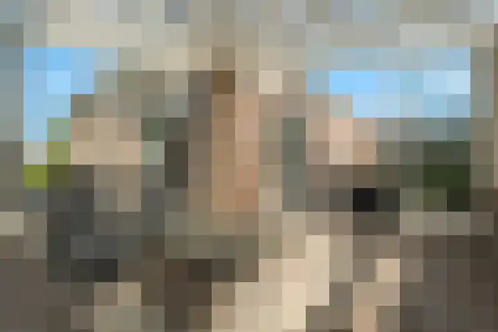 De Wiede 1 Muntendam thumbnail 4