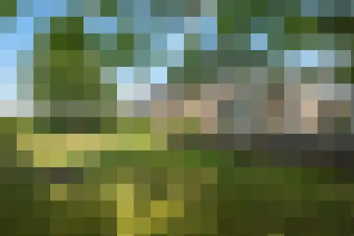 De Wiede 1 Muntendam thumbnail 5