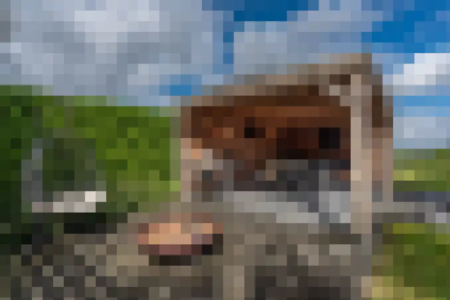De Wiede 3 Muntendam thumbnail 34