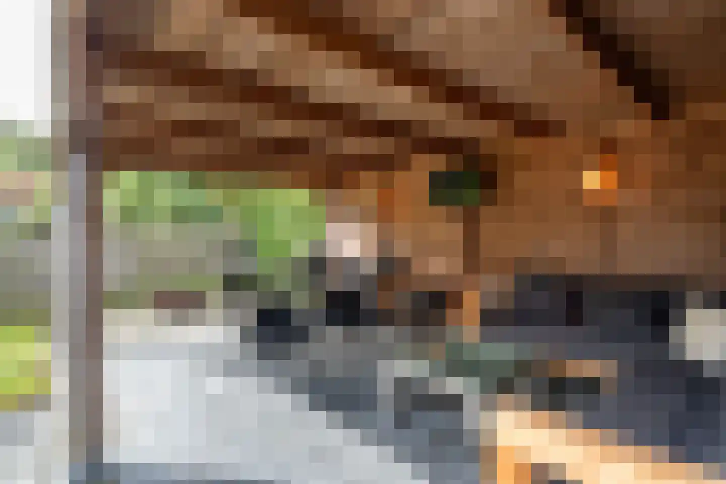 De Wiede 3 Muntendam thumbnail 35