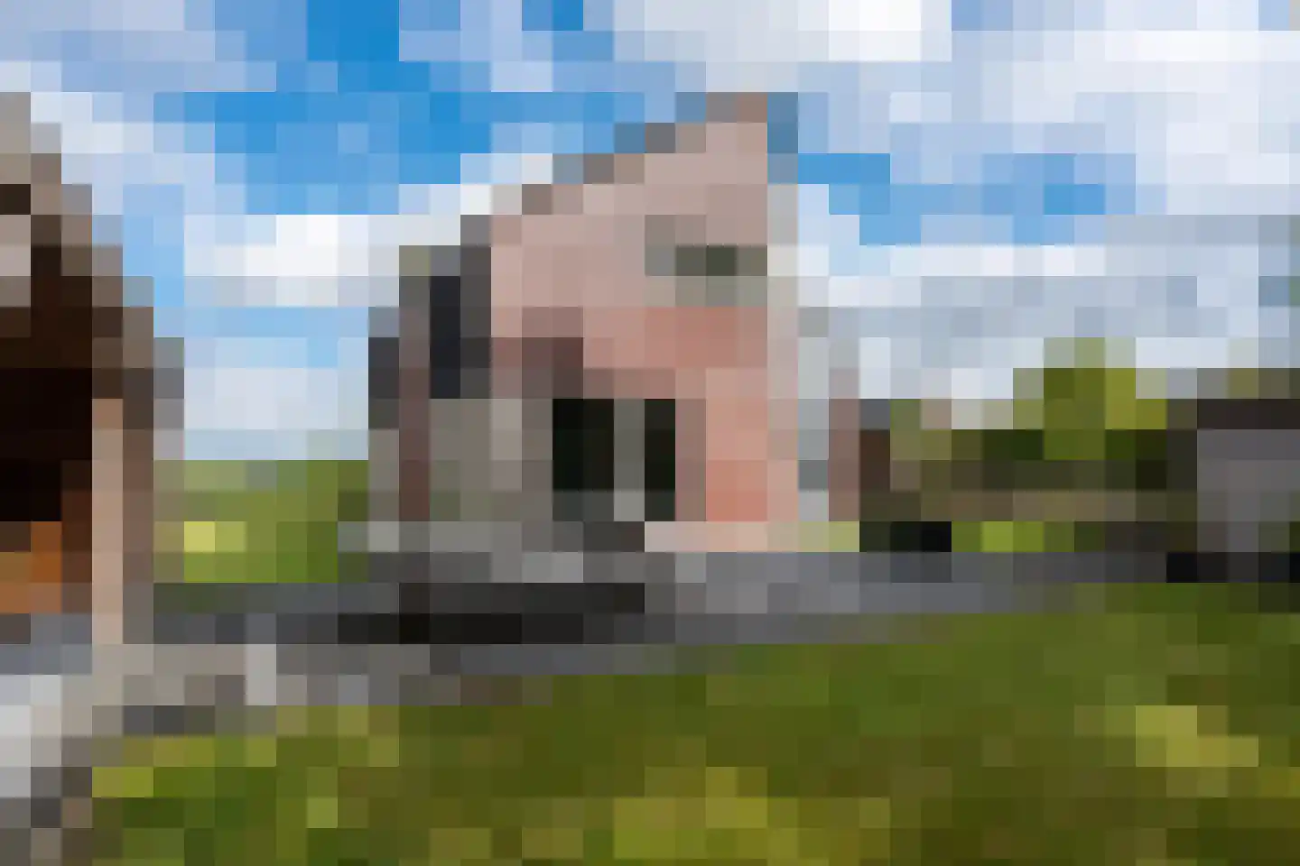De Wiede 3 Muntendam thumbnail 39